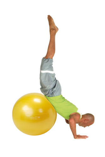 Gymnastik-Ball Gymnic Plus